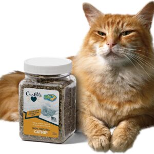 Our Pets Premium Catnip – 2.25 oz Jar of High Potency Catnip – 100% North American Grown